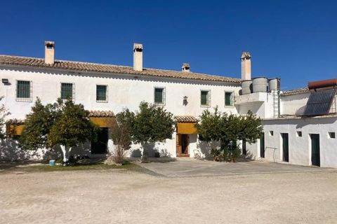 Finca i Rute, Cordoba, Rute - € 3 100 000 | Ref: AGR-1175 - foto 9
