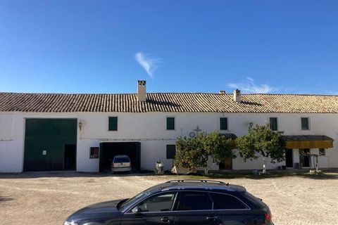 Finca i Rute, Cordoba, Rute - € 3 100 000 | Ref: AGR-1175 - foto 11