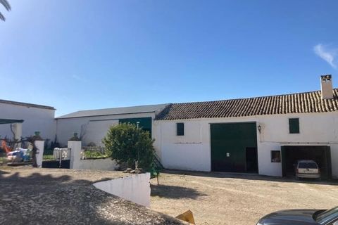 Finca i Rute, Cordoba, Rute - € 3 100 000 | Ref: AGR-1175 - foto 12