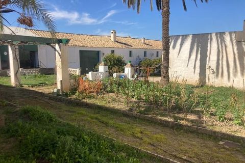 Finca i Rute, Cordoba, Rute - € 3 100 000 | Ref: AGR-1175 - foto 15