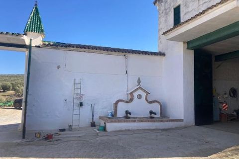 Finca i Rute, Cordoba, Rute - € 3 100 000 | Ref: AGR-1175 - foto 16
