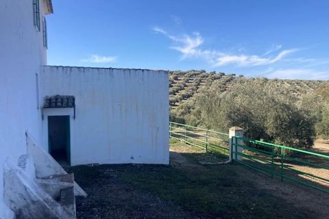 Finca i Rute, Cordoba, Rute - € 3 100 000 | Ref: AGR-1175 - foto 50