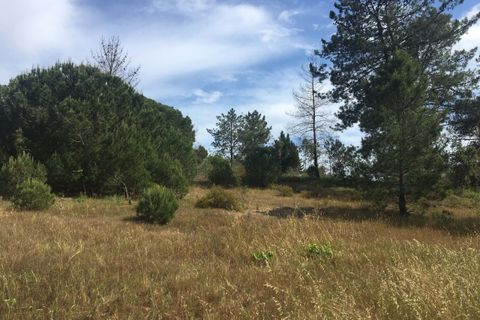 Helårsgrund i Lagoa, Faro, Lagoa - € 95.000 | Ref: 132 - foto 4