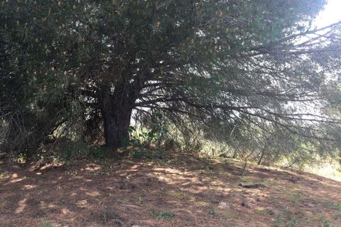 Helårsgrund i Lagoa, Faro, Lagoa - € 95.000 | Ref: 132 - foto 6