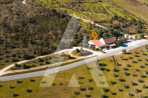 Erhvervsejendom i Freixianda, Santarem, Freixianda - € 675.000 | Ref: 1121125/25CB - foto 3