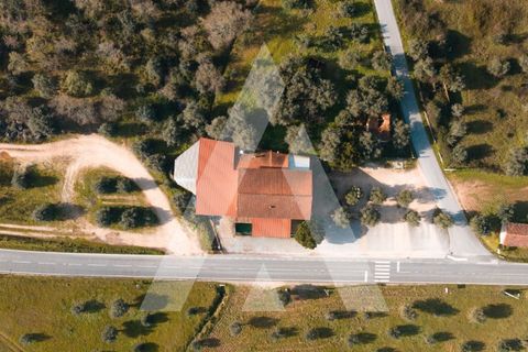 Erhvervsejendom i Freixianda, Santarem, Freixianda - € 675.000 | Ref: 1121125/25CB - foto 21