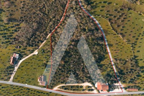 Erhvervsejendom i Freixianda, Santarem, Freixianda - € 675.000 | Ref: 1121125/25CB - foto 24