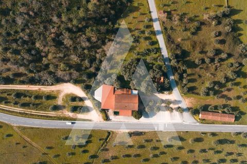 Erhvervsejendom i Freixianda, Santarem, Freixianda - € 675.000 | Ref: 1121125/25CB - foto 25