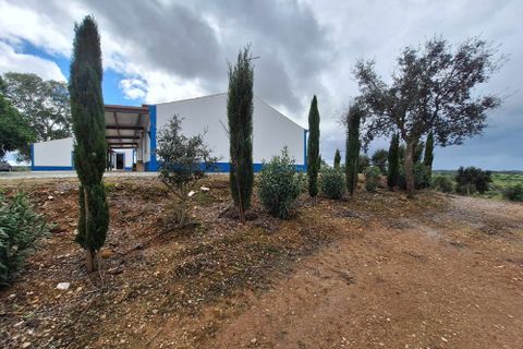 Masia a Serpa, Beja, Serpa - € 1.500.000 | Ref: 0307 - foto 28