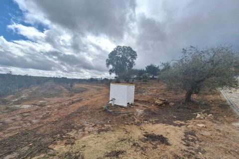 Masia a Serpa, Beja, Serpa - € 1.500.000 | Ref: 0307 - foto 36