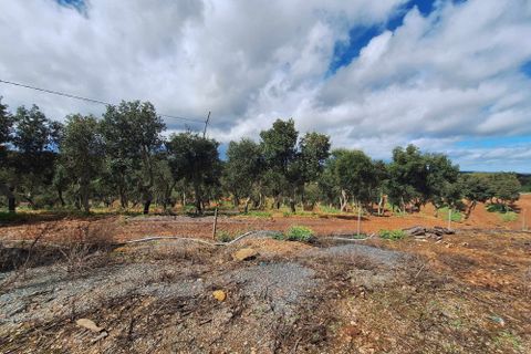 Masia a Serpa, Beja, Serpa - € 1.500.000 | Ref: 0307 - foto 37
