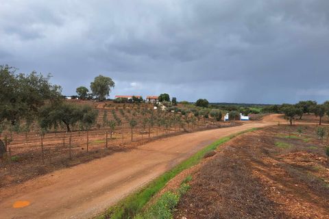 Masia a Serpa, Beja, Serpa - € 1.500.000 | Ref: 0307 - foto 39