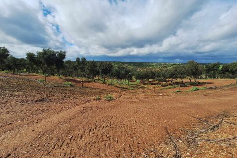 Masia a Serpa, Beja, Serpa - € 1.500.000 | Ref: 0307 - foto 42