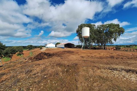 Masia a Serpa, Beja, Serpa - € 1.500.000 | Ref: 0307 - foto 43