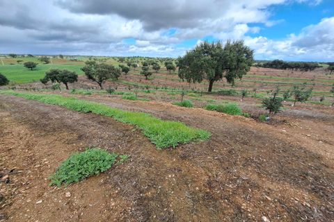 Masia a Serpa, Beja, Serpa - € 1.500.000 | Ref: 0307 - foto 44
