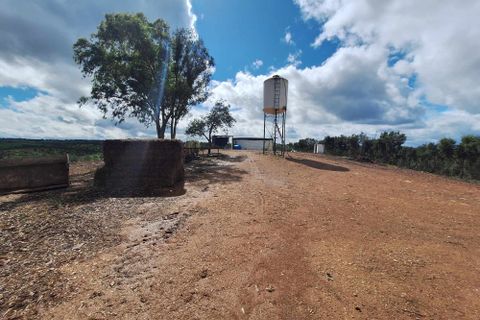 Masia a Serpa, Beja, Serpa - € 1.500.000 | Ref: 0307 - foto 46