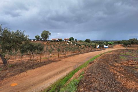 Masia a Serpa, Beja, Serpa - € 1.500.000 | Ref: 0307 - foto 49