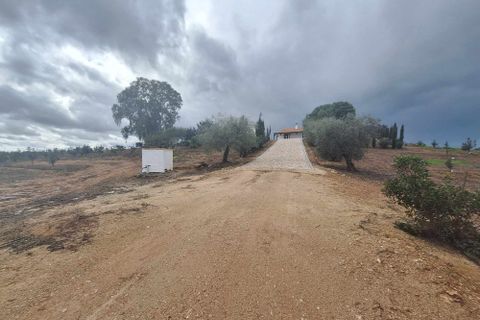Masia a Serpa, Beja, Serpa - € 1.500.000 | Ref: 0307 - foto 50