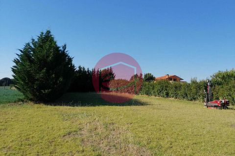 Terra a Gatteo, Forli-Cesena, Gatteo - € 119.000 | Ref: G-L1-036 - foto 3