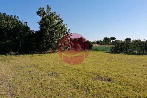 Terra a Gatteo, Forli-Cesena, Gatteo - € 119.000 | Ref: G-L1-036 - foto 2