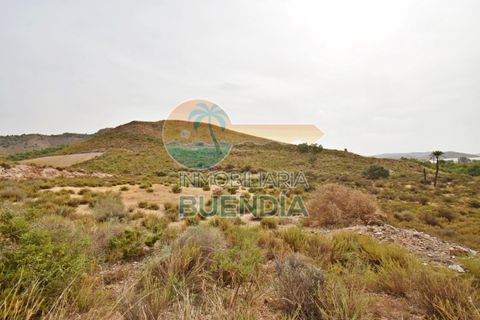 Landejendom i Mazarron, Murcia, Mazarron - € 65.000 | Ref: 000199/9522 - foto 13