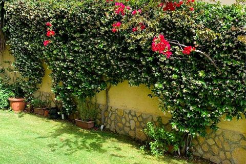 Villa a Bonifati, Cosenza, Bonifati - € 120.000 | Ref: 1129 - foto 16