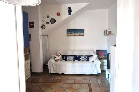 Villa a Bonifati, Cosenza, Bonifati - € 120.000 | Ref: 1129 - foto 36