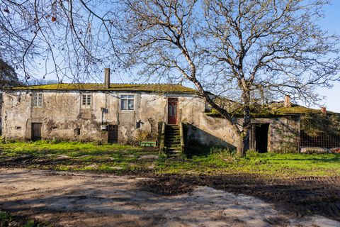 Cortijo i Lugo, Lugo, Lugo - € 300.000 | Ref: 2106 - foto 8