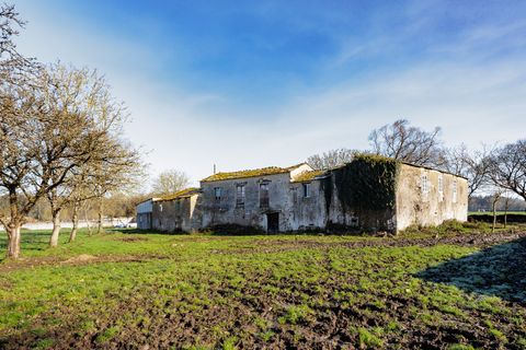 Cortijo i Lugo, Lugo, Lugo - € 300.000 | Ref: 2106 - foto 6