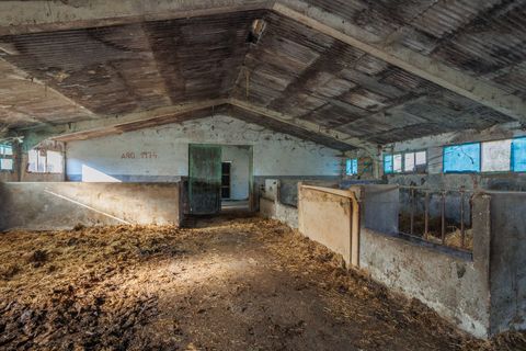 Cortijo i Lugo, Lugo, Lugo - € 300.000 | Ref: 2106 - foto 20