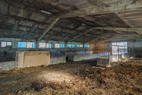 Cortijo i Lugo, Lugo, Lugo - € 300.000 | Ref: 2106 - foto 21