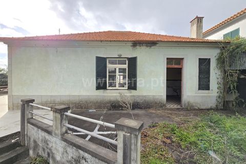 Villa i Calheta, Madeira, Calheta - € 490.000 | Ref: 081250027 - foto 2