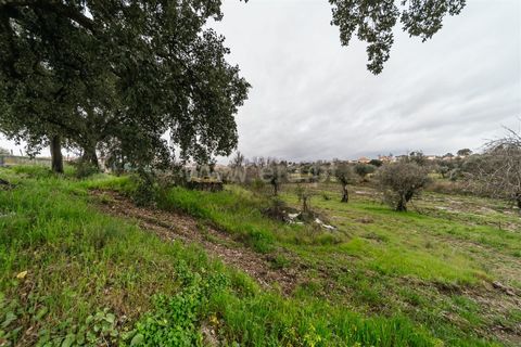 Tomt i Fundao, Castelo Branco, Fundao - € 37 500 | Ref: 255250034 - foto 3
