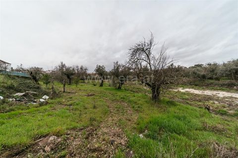 Tomt i Fundao, Castelo Branco, Fundao - € 37 500 | Ref: 255250034 - foto 4