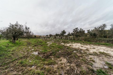 Tomt i Fundao, Castelo Branco, Fundao - € 37 500 | Ref: 255250034 - foto 5