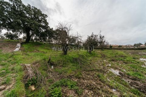 Tomt i Fundao, Castelo Branco, Fundao - € 37 500 | Ref: 255250034 - foto 6