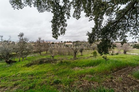 Tomt i Fundao, Castelo Branco, Fundao - € 37 500 | Ref: 255250034 - foto 7