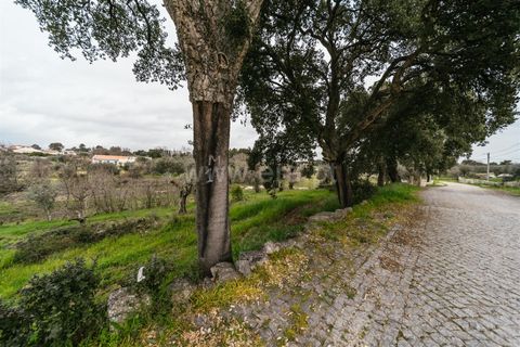 Tomt i Fundao, Castelo Branco, Fundao - € 37 500 | Ref: 255250034 - foto 8