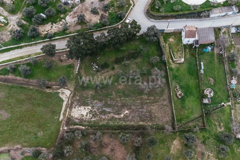 Tomt i Fundao, Castelo Branco, Fundao - € 37 500 | Ref: 255250034 - foto 9