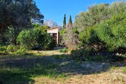 Terra a L'Ampolla, Tarragona, L'Ampolla - € 134.000 | Ref: Calle_Oliveres_14/7003 - foto 2