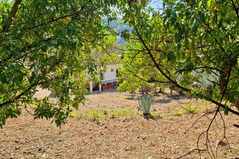 Landejendom i Alcaucin, Malaga, Alcaucin - € 374.950 | Ref: AX1379 - foto 44