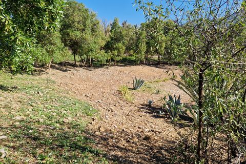Landejendom i Alcaucin, Malaga, Alcaucin - € 374.950 | Ref: AX1379 - foto 41