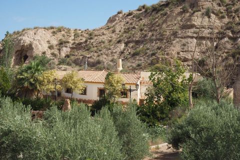 Cave house i Freila, Granada, Freila - € 179.000 | Ref: TPG411/12190 - foto 12