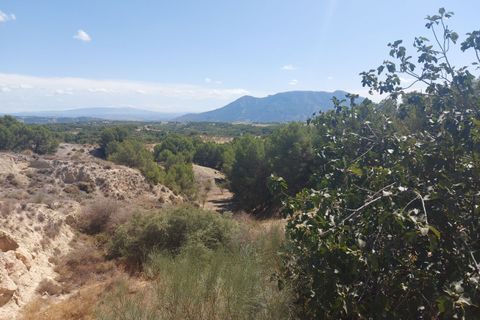 Cave house in Cuevas Del Campo, Granada - photo 3