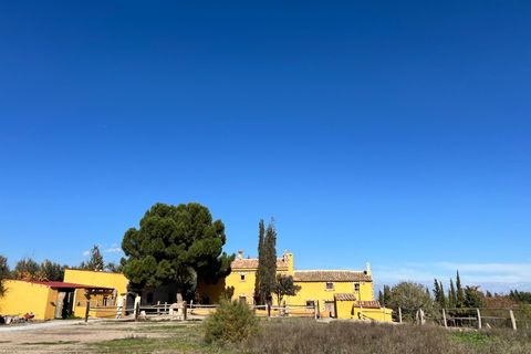 Landejendom i Baza, Granada, Baza - € 395.000 | Ref: TPG905/12190 - foto 3