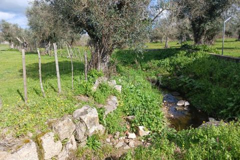 Helårsgrund i Nisa, Portalegre, Nisa - € 15.000 | Ref: 102250033 - foto 1