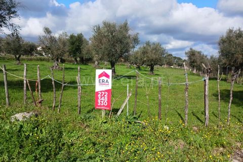 Helårsgrund i Nisa, Portalegre, Nisa - € 15.000 | Ref: 102250033 - foto 2
