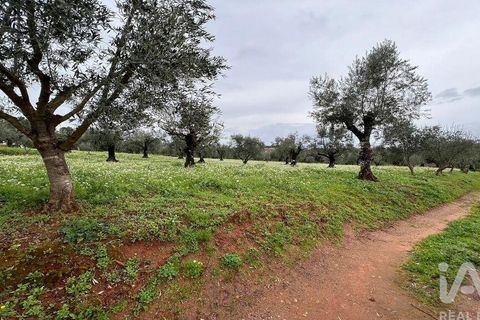 Helårsgrund i Penela, Coimbra, Penela - € 30.000 | Ref: 134198 - foto 1