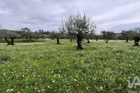 Helårsgrund i Penela, Coimbra, Penela - € 30.000 | Ref: 134198 - foto 2