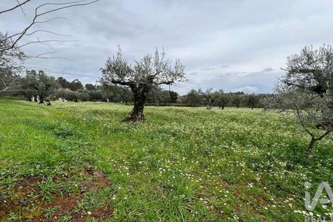 Helårsgrund i Penela, Coimbra, Penela - € 30.000 | Ref: 134198 - foto 3